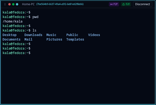 XShell terminal session on Home-PC